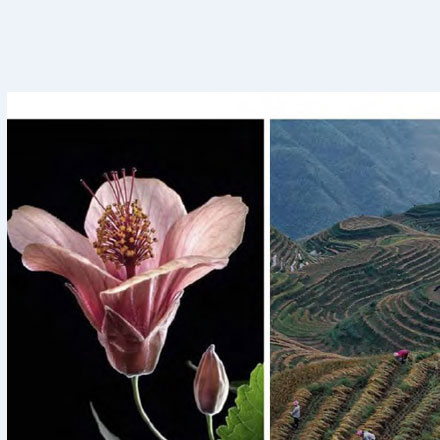 羽絨服哪個品牌vi設計公司案例作品質量好